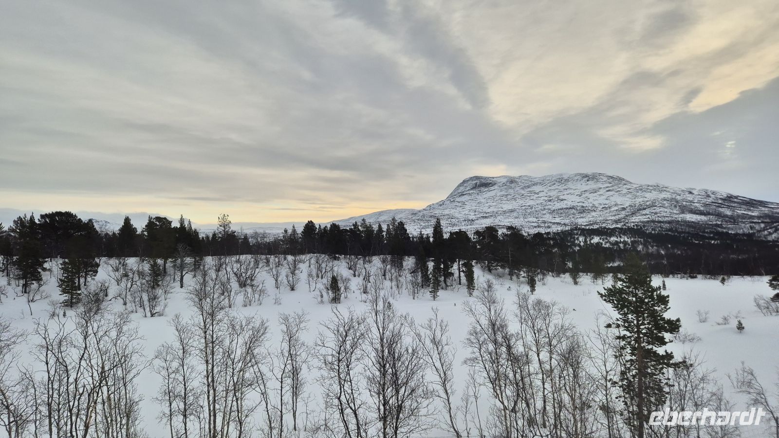 Mit der Nordlandsbahn nach Bodø