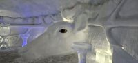 Eingangsbereich im Schneehotel &ndash; &copy; Ria Heilmann (Eberhardt TRAVEL)