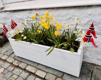 Kreuzfahrt Norwegen - Stavanger &ndash; &copy; Heike Wagner (Eberhardt TRAVEL)
