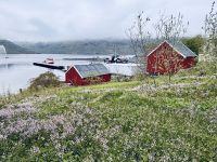 Kreuzfahrt Norwegen - Insel Senja &ndash; &copy; Heike Wagner (Eberhardt TRAVEL)