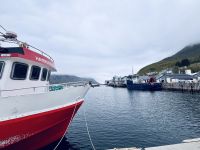 Kreuzfahrt Norwegen - Insel Senja &ndash; &copy; Heike Wagner (Eberhardt TRAVEL)