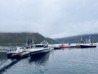 Kreuzfahrt Norwegen - Insel Senja &ndash; &copy; Heike Wagner (Eberhardt TRAVEL)