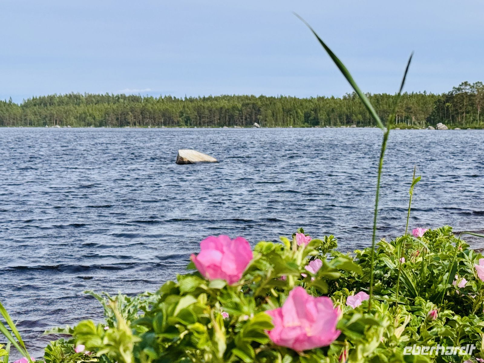 3. Tag - Schwedische Natur &ndash; &copy;  (Eberhardt TRAVEL)