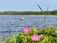 3. Tag - Schwedische Natur &ndash; &copy; Christin Kuschka (Eberhardt TRAVEL)