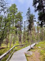 6. Tag - Finnisch Lappland  &ndash; &copy; Christin Kuschka (Eberhardt TRAVEL)