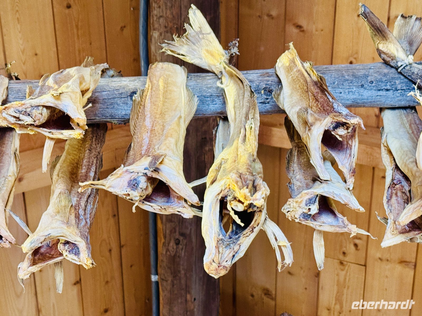 6. Tag - Stockfisch  &ndash; &copy;  (Eberhardt TRAVEL)