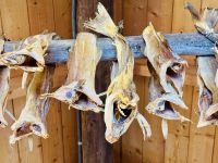 6. Tag - Stockfisch  &ndash; &copy; Christin Kuschka (Eberhardt TRAVEL)