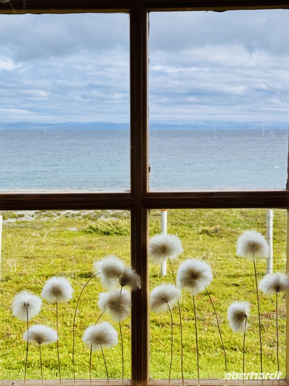6. Tag - Wollgras  &ndash; &copy;  (Eberhardt TRAVEL)