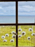 6. Tag - Wollgras  &ndash; &copy; Christin Kuschka (Eberhardt TRAVEL)