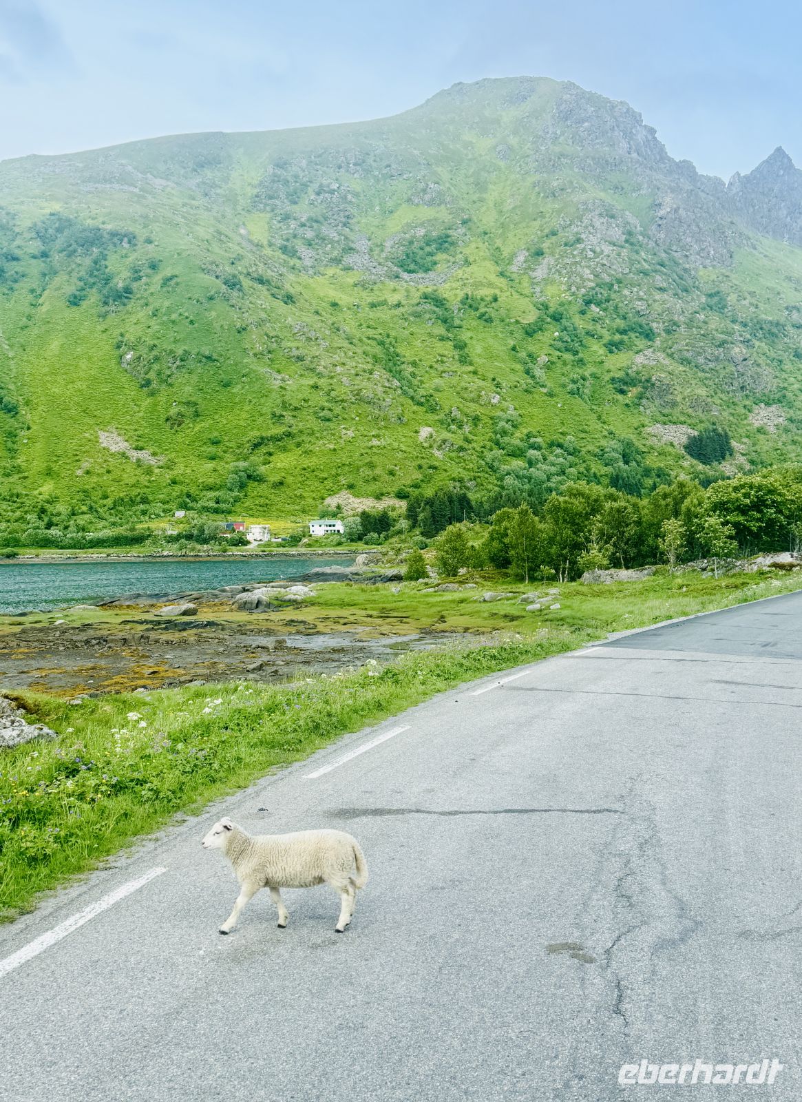 8. Tag - Lofoten  &ndash; &copy;  (Eberhardt TRAVEL)