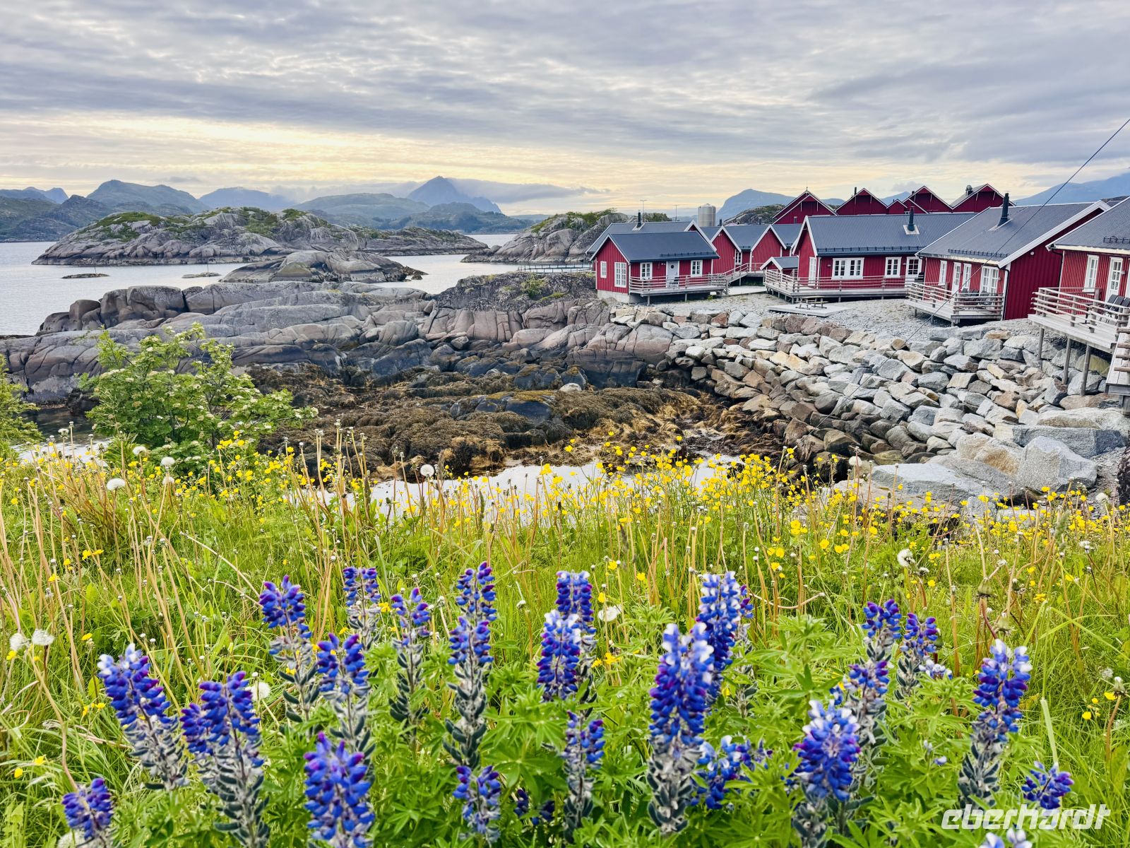 8. Tag - Lofoten  &ndash; &copy;  (Eberhardt TRAVEL)