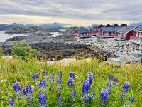 8. Tag - Lofoten  &ndash; &copy; Christin Kuschka (Eberhardt TRAVEL)
