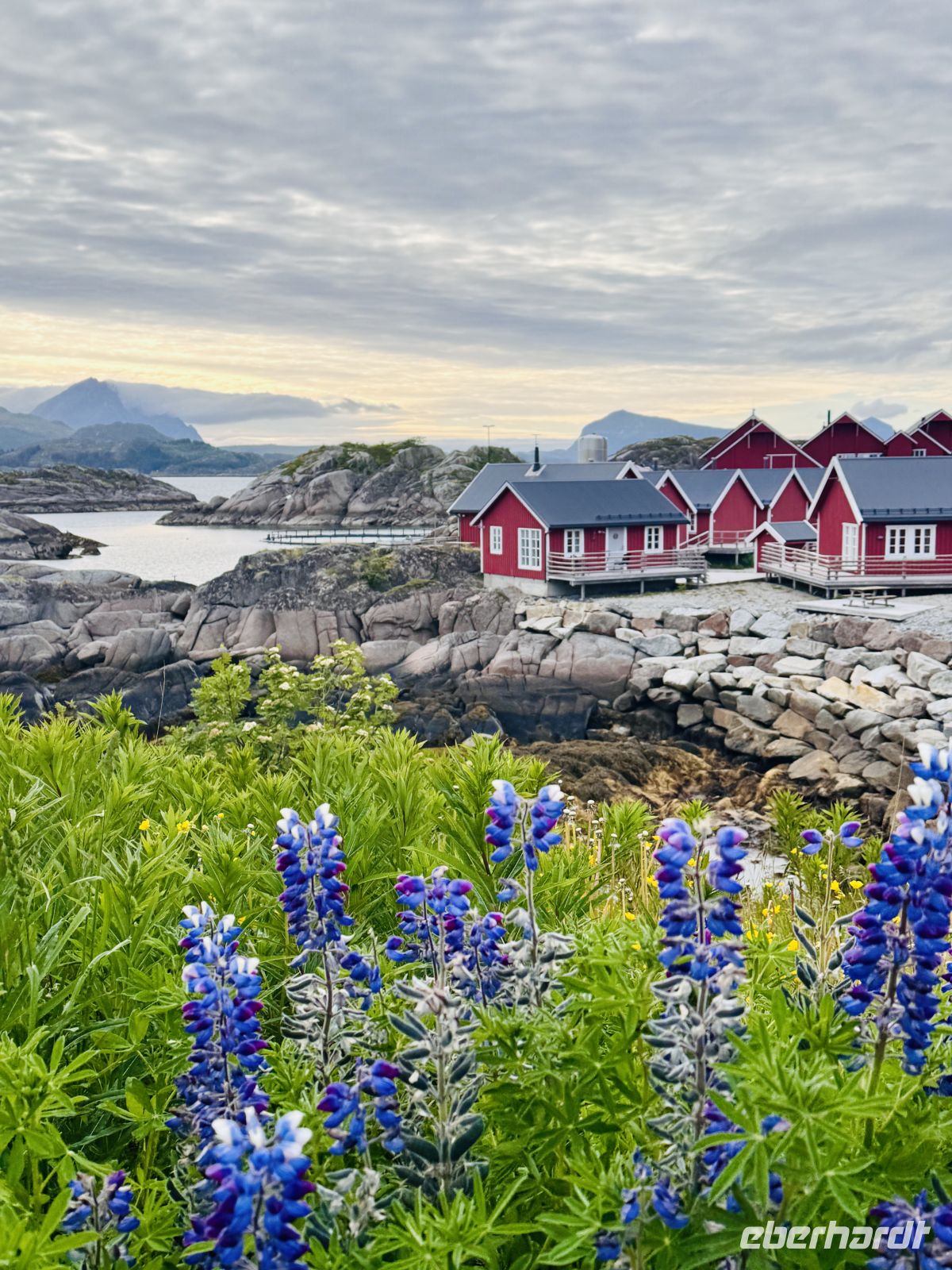 8. Tag - Lofoten  &ndash; &copy;  (Eberhardt TRAVEL)