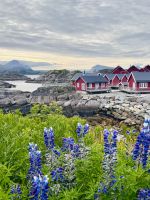 8. Tag - Lofoten  &ndash; &copy; Christin Kuschka (Eberhardt TRAVEL)