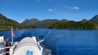 250 Lofoten, Adlersafari
