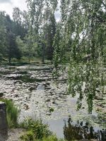 Idylle am Teich -  Maihaugen &ndash; &copy; Marta Rass (Eberhardt TRAVEL)