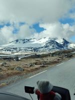 Der Weg über Sognefjell &ndash; &copy; Marta Rass (Eberhardt TRAVEL)