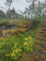 Ein blumiger Weg bergauf..... &ndash; &copy; Marta Rass (Eberhardt TRAVEL)