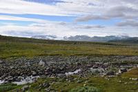 251 Hardangervidda