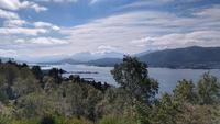 291 Alesund, Blick vom Aksla