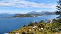 295 Alesund, Blick vom Aksla