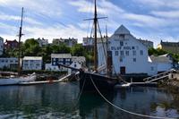 308 Alesund