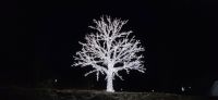 31.12.2021 78 Flam, Silvesternacht