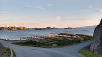 313 Lofoten, Trockengestelle Mortsund
