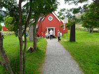 120 Flakstadt auf den Lofoten