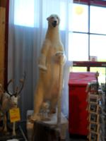 139 norwegisches Polarkreiszentrum - EisbÃ€r