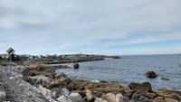 318 Insel Godoya, Alnes