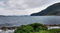319 Insel Godoya