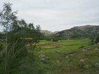 Landschaft in Südnorwegen