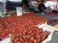 Norwegische Erdbeeren