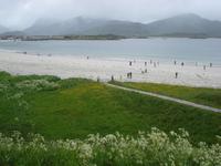 Strand in Ramberg Lofoten