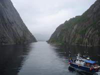 Eingang Trollfjord