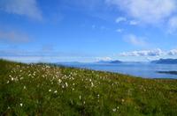 344 Insel Runde