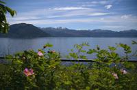 346 Hardangerfjord