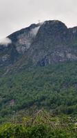348 Loen, Hoven mit Skylifter