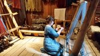 353 Lofoten, Wikingermuseum Borg