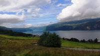 374 Innvikfjord bei Utvik