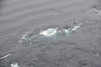 391 Saltstraumen
