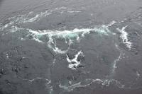 392 Saltstraumen