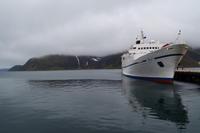 Morgens in Honningsvaeg