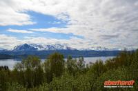 am Ofotfjord, gegenüber Narvik