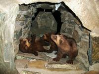 Nationalpark Dovrefjell