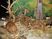 Nationalpark Dovrefjell