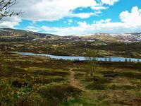 Nationalpark Dovrefjell