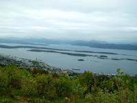 Molde