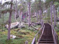 Weg zur Bärenhöhle am Inari-See